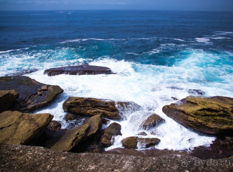 ПРОГУЛКА ВДОЛЬ БЕРЕГА ОКЕАНА В СИДНЕЕ - COASTAL WALK