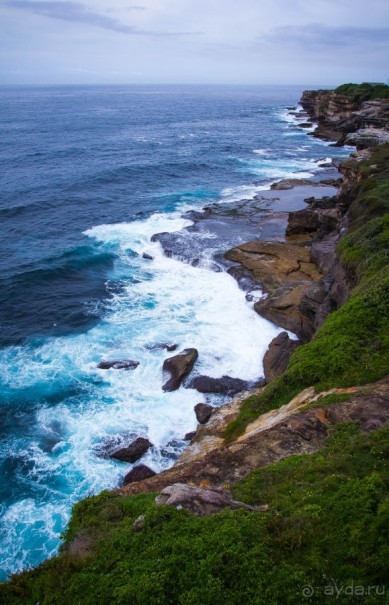 ПРОГУЛКА ВДОЛЬ БЕРЕГА ОКЕАНА В СИДНЕЕ - COASTAL WALK