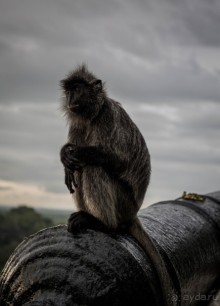 МАЛАЙЗИЯ. КУАЛА ЛУМПУР