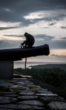 МАЛАЙЗИЯ. КУАЛА ЛУМПУР