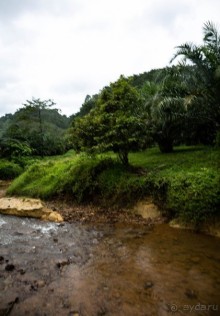 ПО ПУТИ НА ОЗЕРО. НА ОЗЕРЕ В ТАЙЛАНДЕ