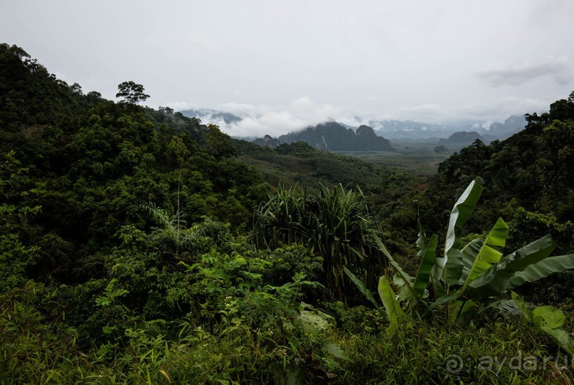ПО ПУТИ НА ОЗЕРО. НА ОЗЕРЕ В ТАЙЛАНДЕ