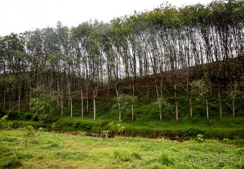 ПО ПУТИ НА ОЗЕРО. НА ОЗЕРЕ В ТАЙЛАНДЕ