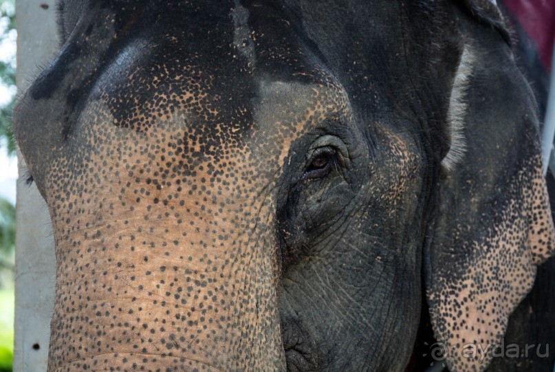 ПО ПУТИ НА ОЗЕРО. НА ОЗЕРЕ В ТАЙЛАНДЕ