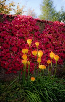 CALKE ABBEY