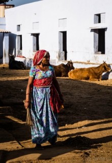 MANDAWA - МУЖИКИ, КОРОВЫ И БАБОНЬКИ