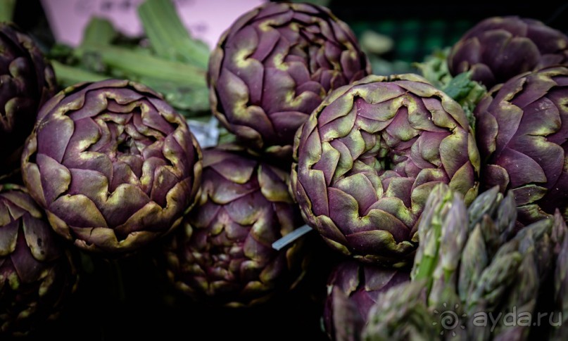 Альбом отзыва "TRENTO НА СЕВЕРЕ ИТАЛИИ В БАЗАРНЫЙ ДЕНЬ В МАРТЕ"