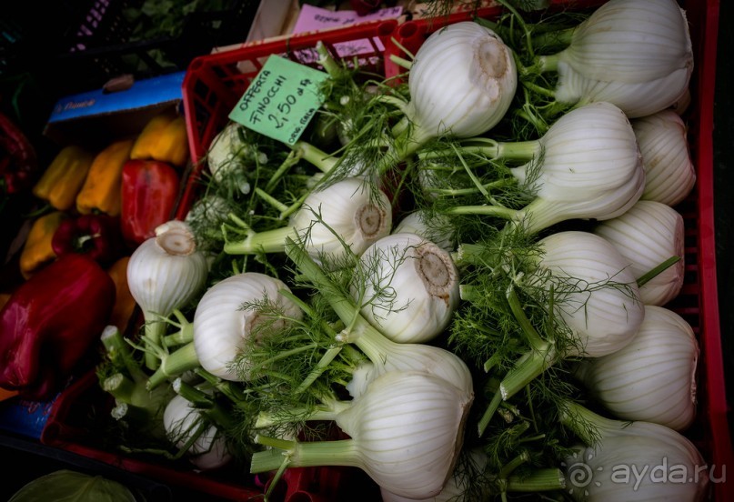 Альбом отзыва "TRENTO НА СЕВЕРЕ ИТАЛИИ В БАЗАРНЫЙ ДЕНЬ В МАРТЕ"