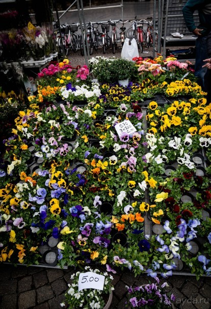 Альбом отзыва "TRENTO НА СЕВЕРЕ ИТАЛИИ В БАЗАРНЫЙ ДЕНЬ В МАРТЕ"