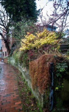 TUNBRIDGE WELLS (Танбридж)