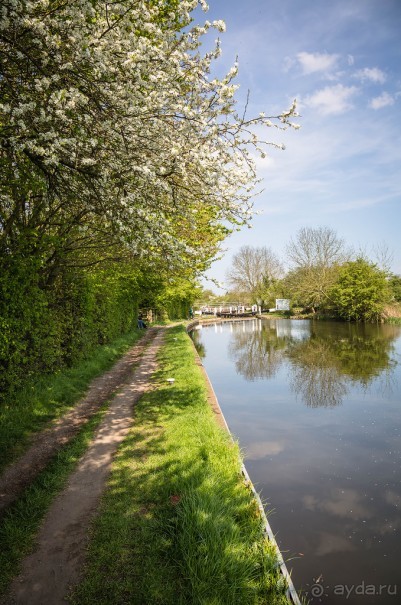 ВДОЛЬ КАНАЛА В ЛЕСТЕРЕ