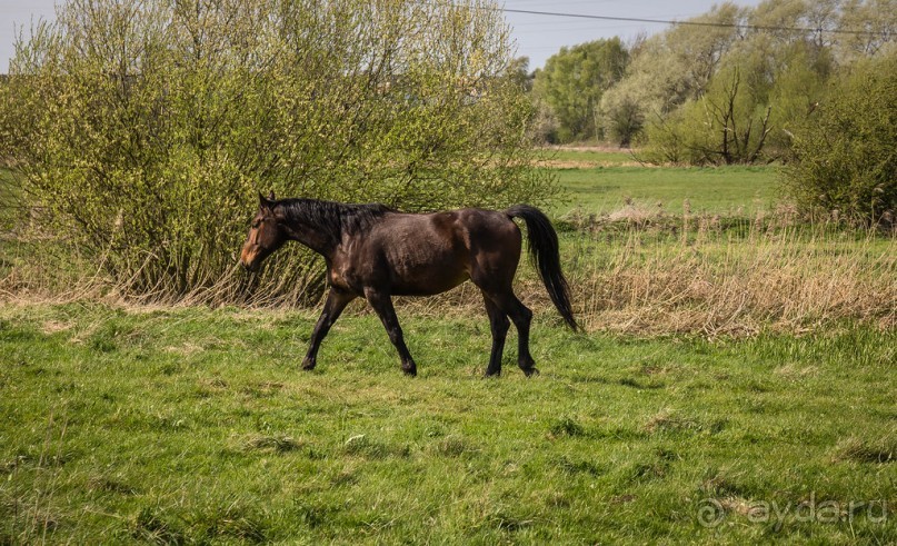 ВДОЛЬ КАНАЛА В ЛЕСТЕРЕ