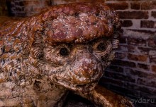 ФЕРРАРА - РАЗНОЕ