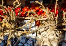 ФЕРРАРА - РАЗНОЕ