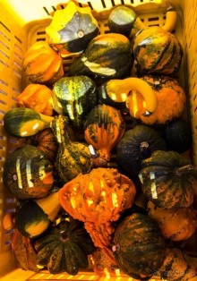 ФЕРРАРА - РАЗНОЕ