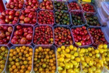 ФЕРРАРА - РАЗНОЕ