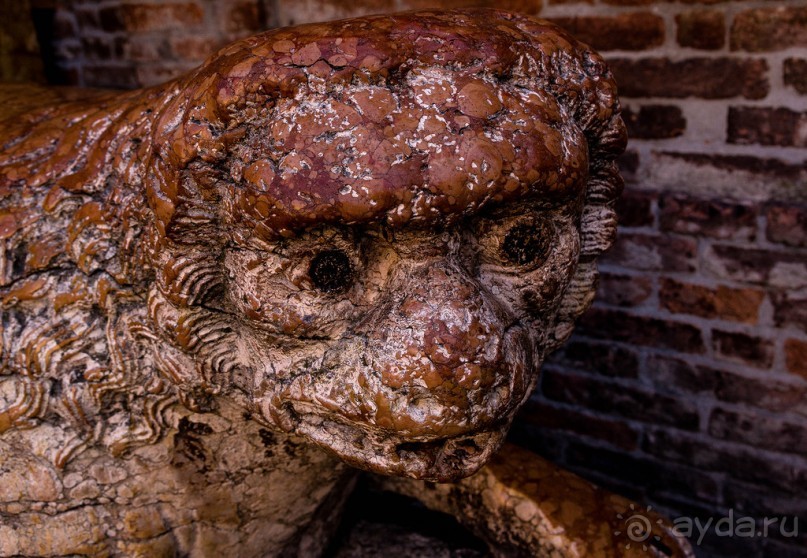 ФЕРРАРА - РАЗНОЕ