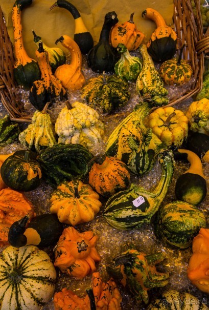 ФЕРРАРА - РАЗНОЕ