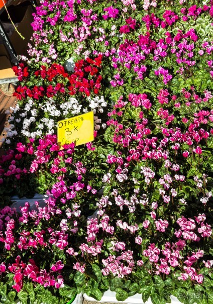 ФЕРРАРА - РАЗНОЕ