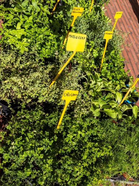 ФЕРРАРА - РАЗНОЕ