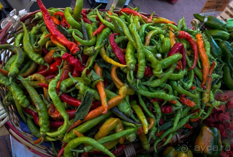 ФЕРРАРА - РАЗНОЕ