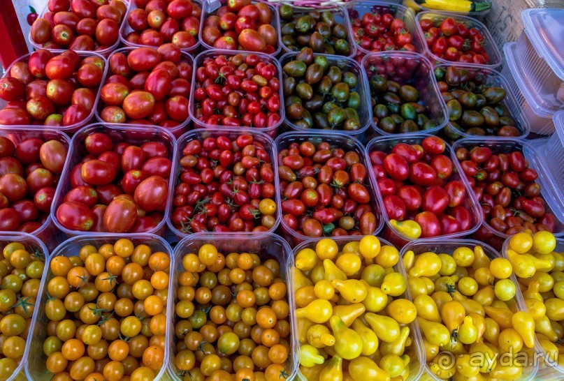 ФЕРРАРА - РАЗНОЕ