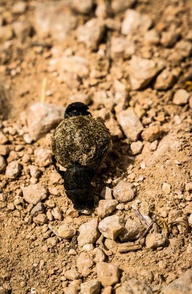 ПАРК -ЗАПОВЕДНИК КАНАДА РЯДОМ С ЭММАУСОМ