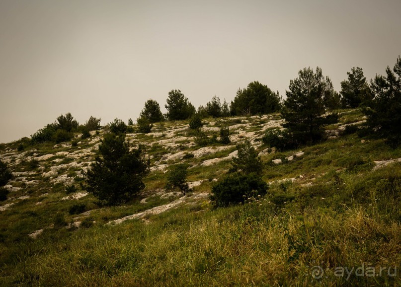 ПАРК -ЗАПОВЕДНИК КАНАДА РЯДОМ С ЭММАУСОМ