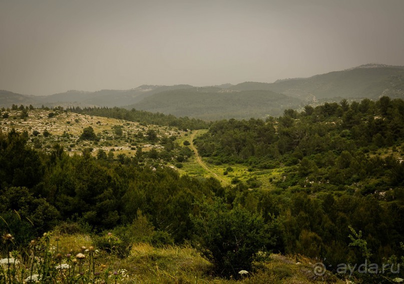 ПАРК -ЗАПОВЕДНИК КАНАДА РЯДОМ С ЭММАУСОМ