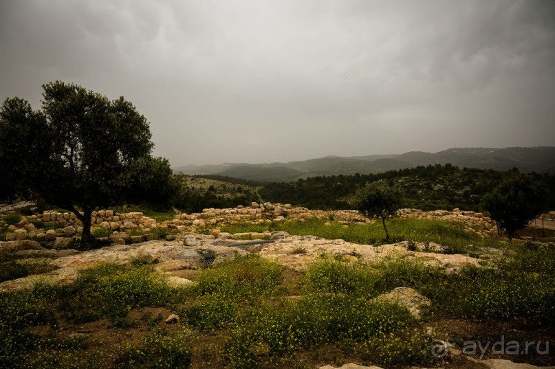 ПАРК -ЗАПОВЕДНИК КАНАДА РЯДОМ С ЭММАУСОМ