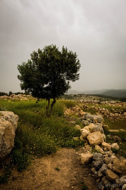 ПАРК -ЗАПОВЕДНИК КАНАДА РЯДОМ С ЭММАУСОМ