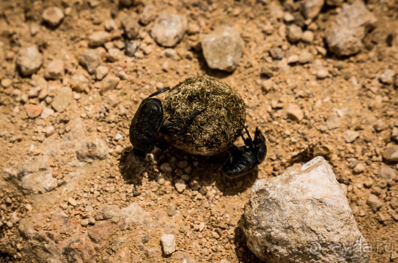 ПАРК -ЗАПОВЕДНИК КАНАДА РЯДОМ С ЭММАУСОМ