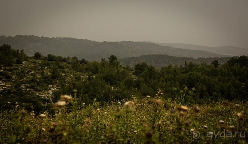 ПАРК -ЗАПОВЕДНИК КАНАДА РЯДОМ С ЭММАУСОМ