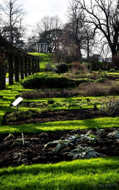 ПРОГУЛКА ВДОЛЬ ТЕМЗЫ ВЕЧЕРОМ И KEW GARDENS В КОНЦЕ ЯНВАРЯ