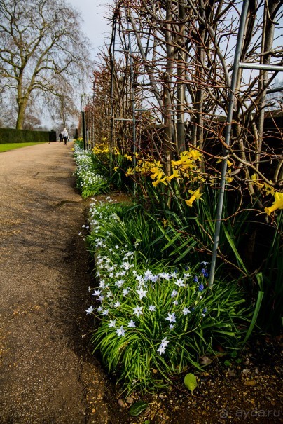 KENSINGTON GARDENS и ВОЛЬНЫЙ ПРОСТОР