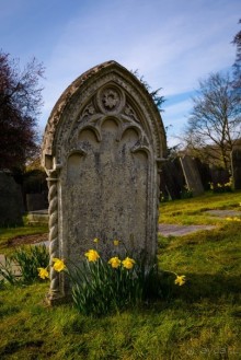 KENSINGTON GARDENS и ВОЛЬНЫЙ ПРОСТОР