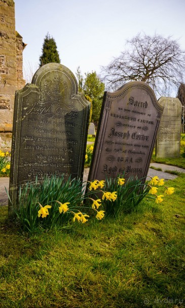 KENSINGTON GARDENS и ВОЛЬНЫЙ ПРОСТОР