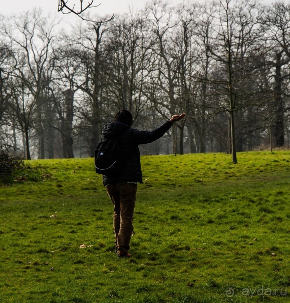 KENSINGTON GARDENS и ВОЛЬНЫЙ ПРОСТОР