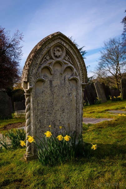 KENSINGTON GARDENS и ВОЛЬНЫЙ ПРОСТОР