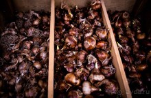 Альбом отзыва "АНГЛИЙСКАЯ ОСЕНЬ (КОНЕЦ СЕНТЯБРЯ - НАЧАЛО ОКТЯБРЯ)"