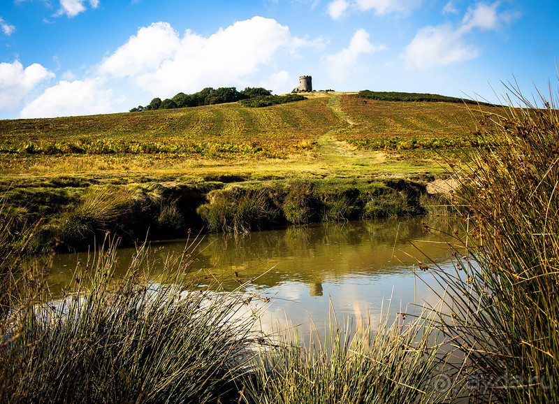 Альбом отзыва "АНГЛИЙСКАЯ ОСЕНЬ (КОНЕЦ СЕНТЯБРЯ - НАЧАЛО ОКТЯБРЯ)"