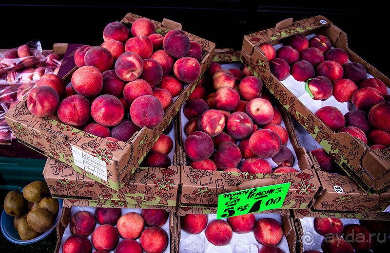 АНГЛИЙСКАЯ ОСЕНЬ (КОНЕЦ СЕНТЯБРЯ - НАЧАЛО ОКТЯБРЯ)