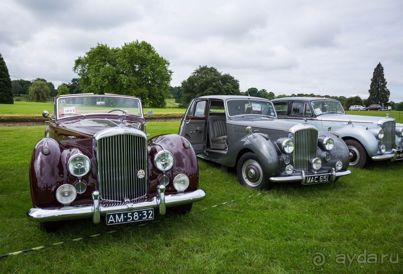 БЕНТЛИ И РОЛЛС- РОЙСЫ