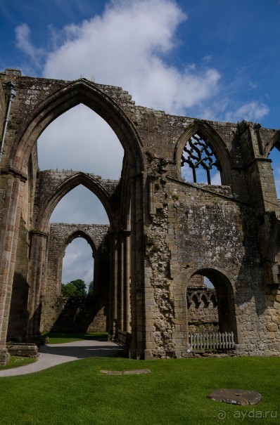 Альбом отзыва "BOLTON ABBEY"