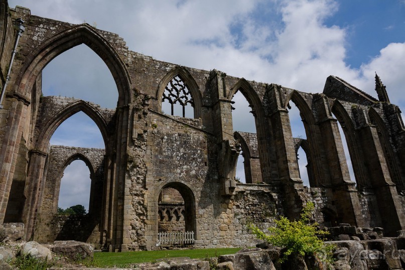 Альбом отзыва "BOLTON ABBEY"