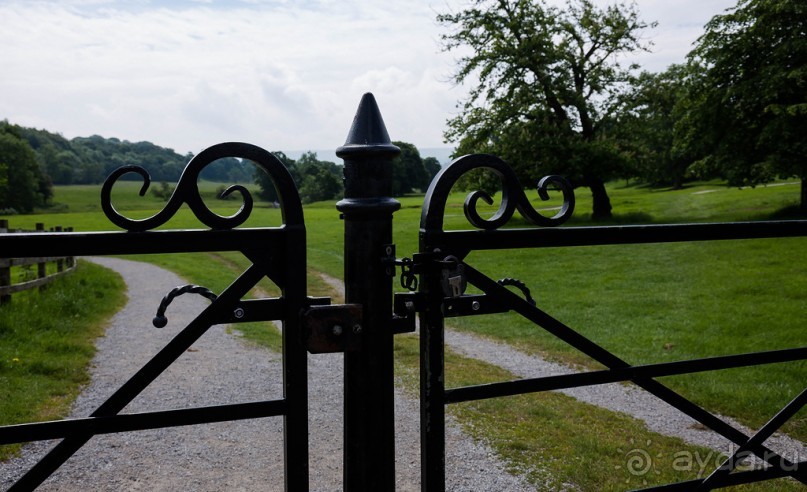 Альбом отзыва "BOLTON ABBEY"