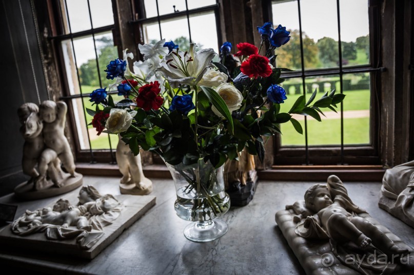 Альбом отзыва "ВЫСТАВКА ЦВЕТОВ В BURGHLEY HOUSE (продолжение)"