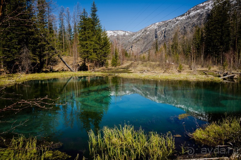 ГОЛУБОЕ ОЗЕРО НА АЛТАЕ