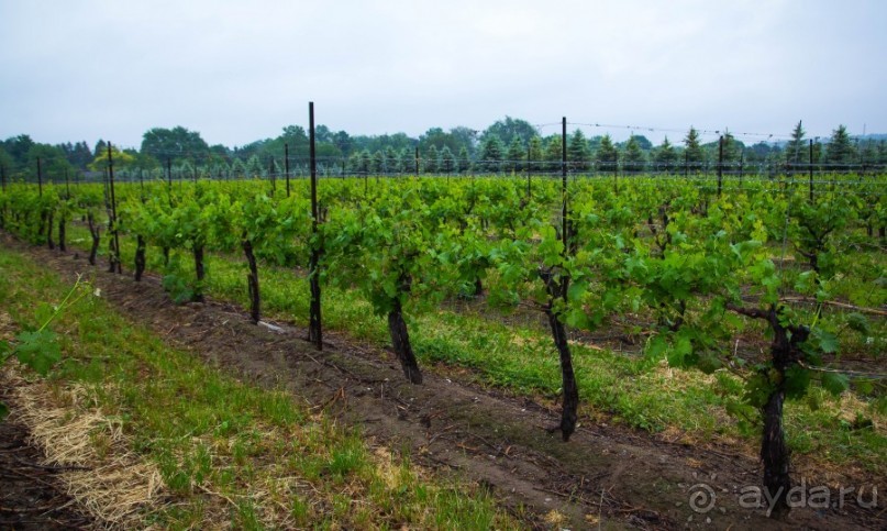 ОЗЕРО BOSHKUNG , КАНАДА