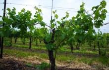 ОЗЕРО BOSHKUNG , КАНАДА